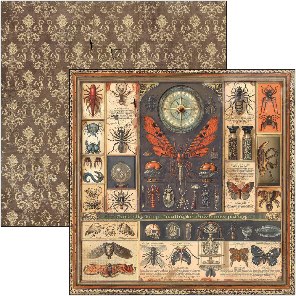 Ciao Bella Papercrafting Cabinet of curiosities 12x12 Inch Paper Pad (CBPM085) Ciao Bella Papercrafting Cabinet of curiosities 12x12 Inch Paper Pad (CBPM085)