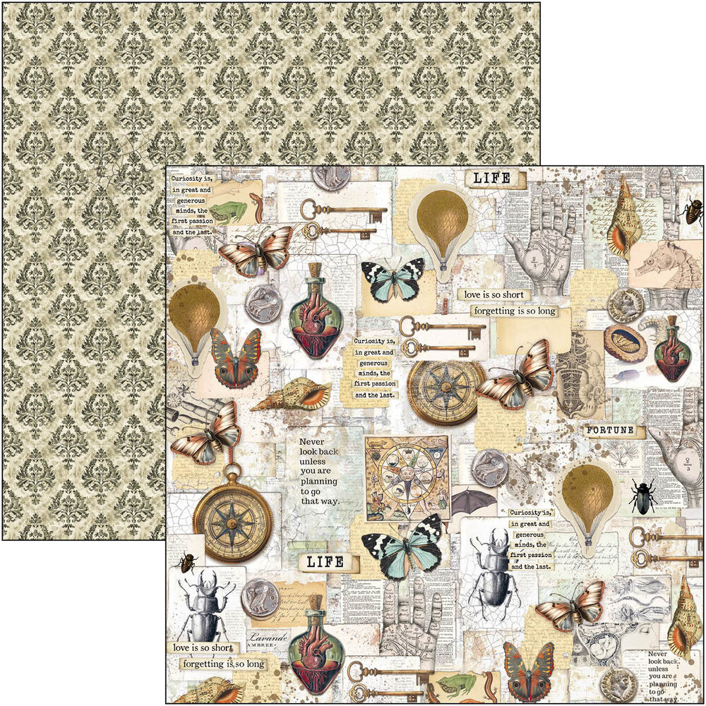 Ciao Bella Papercrafting Cabinet of curiosities 12x12 Inch Paper Pad (CBPM085) Ciao Bella Papercrafting Cabinet of curiosities 12x12 Inch Paper Pad (CBPM085)