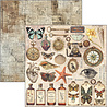 Ciao Bella Papercrafting Cabinet of curiosities 12x12 Inch Paper Pad (CBPM085) Ciao Bella Papercrafting Cabinet of curiosities 12x12 Inch Paper Pad (CBPM085)