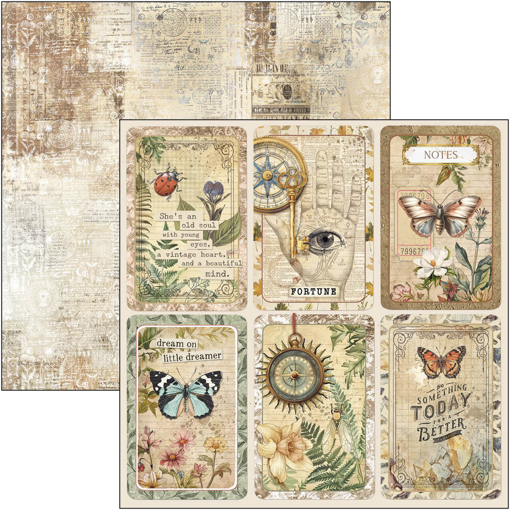 Ciao Bella Papercrafting Cabinet of curiosities 12x12 Inch Paper Pad (CBPM085) Ciao Bella Papercrafting Cabinet of curiosities 12x12 Inch Paper Pad (CBPM085)