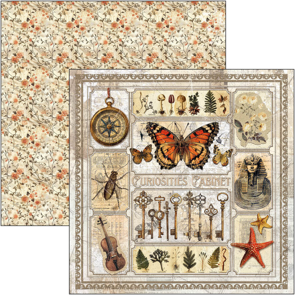 Ciao Bella Papercrafting Cabinet of curiosities 12x12 Inch Paper Pad (CBPM085) Ciao Bella Papercrafting Cabinet of curiosities 12x12 Inch Paper Pad (CBPM085)