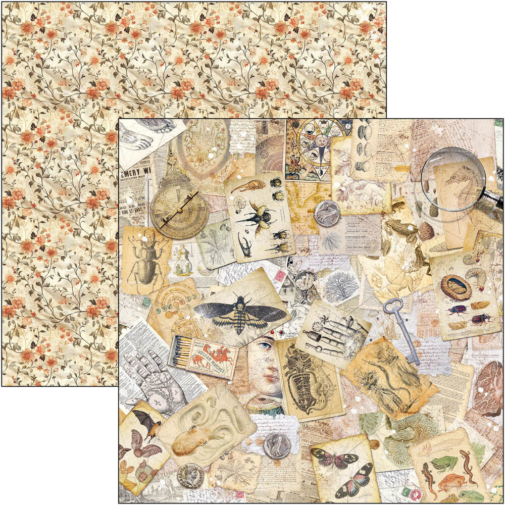 Ciao Bella Papercrafting Cabinet of curiosities 8x8 Inch Paper Pad (CBH085) Ciao Bella Papercrafting Cabinet of curiosities 8x8 Inch Paper Pad (CBH085)