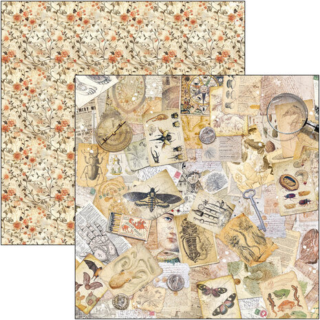 Ciao Bella Papercrafting Cabinet of curiosities 8x8 Inch Paper Pad (CBH085) Ciao Bella Papercrafting Cabinet of curiosities 8x8 Inch Paper Pad (CBH085)