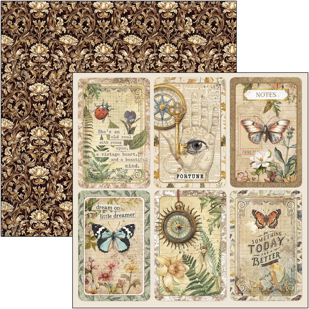 Ciao Bella Papercrafting Cabinet of curiosities 8x8 Inch Paper Pad (CBH085) Ciao Bella Papercrafting Cabinet of curiosities 8x8 Inch Paper Pad (CBH085)