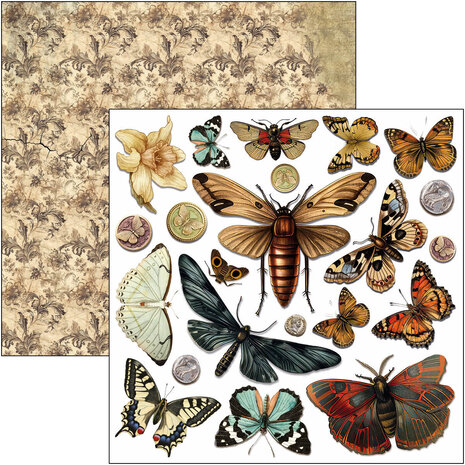 Ciao Bella Papercrafting Cabinet of curiosities 6x6 Inch Paper Pad (CBQE085) Ciao Bella Papercrafting Cabinet of curiosities 6x6 Inch Paper Pad (CBQE085)