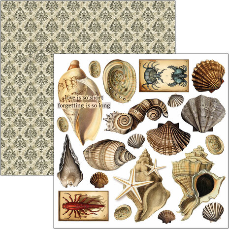 Ciao Bella Papercrafting Cabinet of curiosities 6x6 Inch Paper Pad (CBQE085) Ciao Bella Papercrafting Cabinet of curiosities 6x6 Inch Paper Pad (CBQE085)