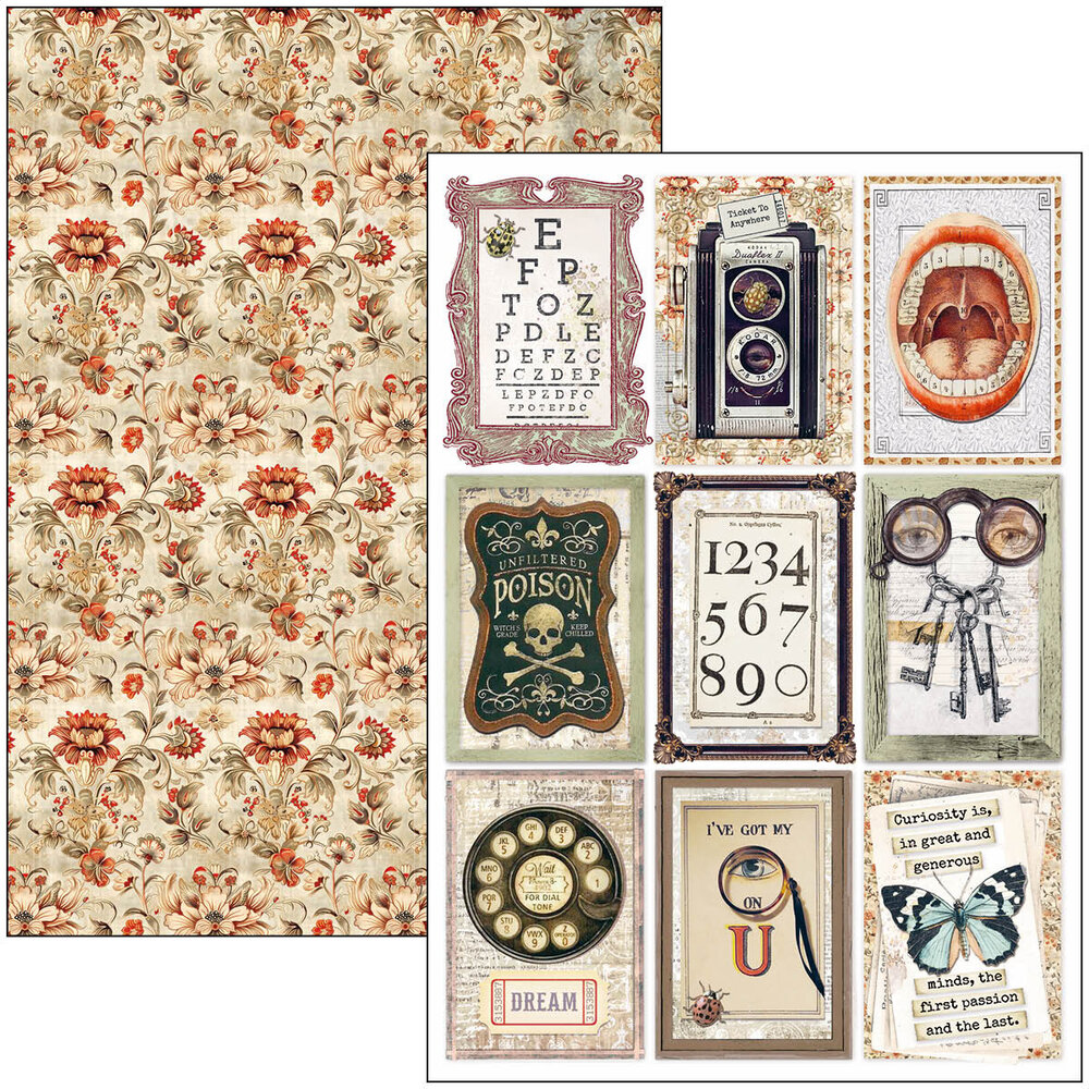 Ciao Bella Papercrafting Cabinet of curiosities A4 Creative Pad (CBCL085) Ciao Bella Papercrafting Cabinet of curiosities A4 Creative Pad (CBCL085)