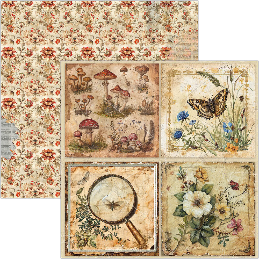 Ciao Bella Papercrafting Cabinet of curiosities 12x12 Inch Patterns Pad (CBT085) Ciao Bella Papercrafting Cabinet of curiosities 12x12 Inch Patterns Pad (CBT085)