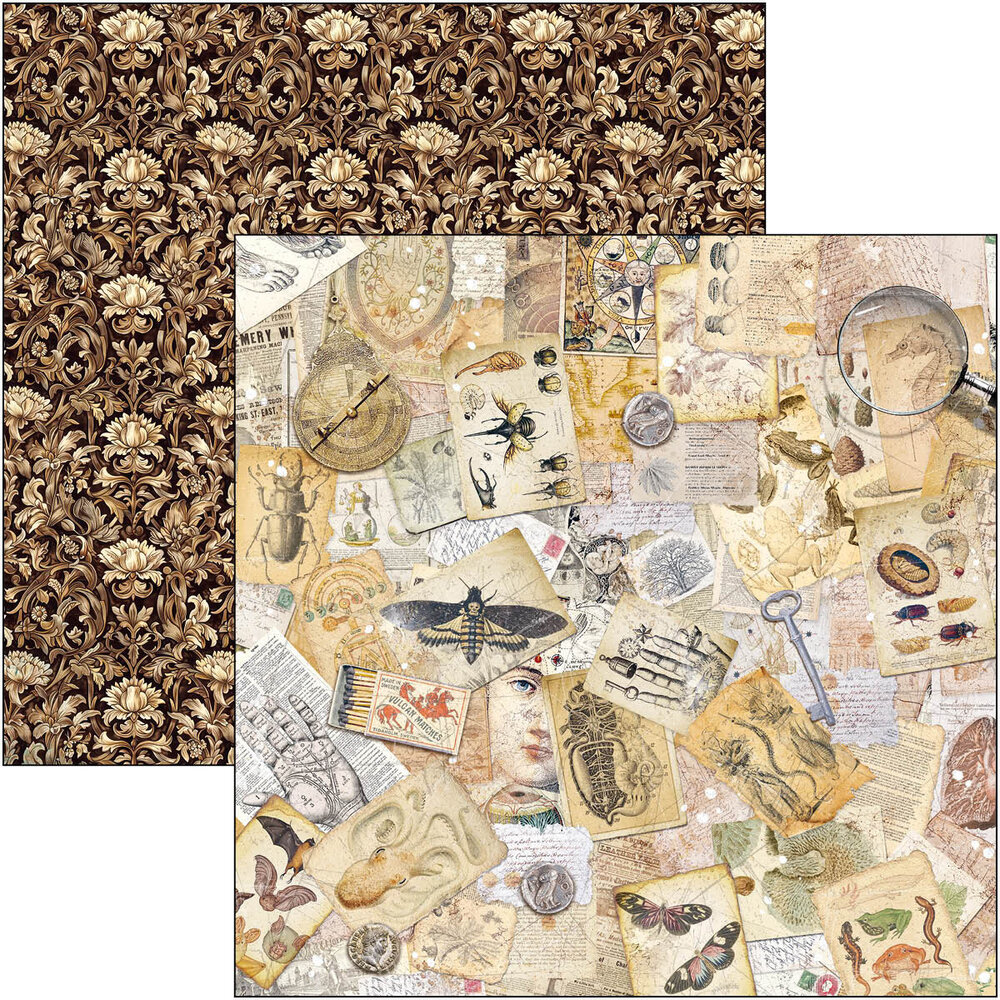 Ciao Bella Papercrafting Cabinet of curiosities 12x12 Inch Patterns Pad (CBT085) Ciao Bella Papercrafting Cabinet of curiosities 12x12 Inch Patterns Pad (CBT085)