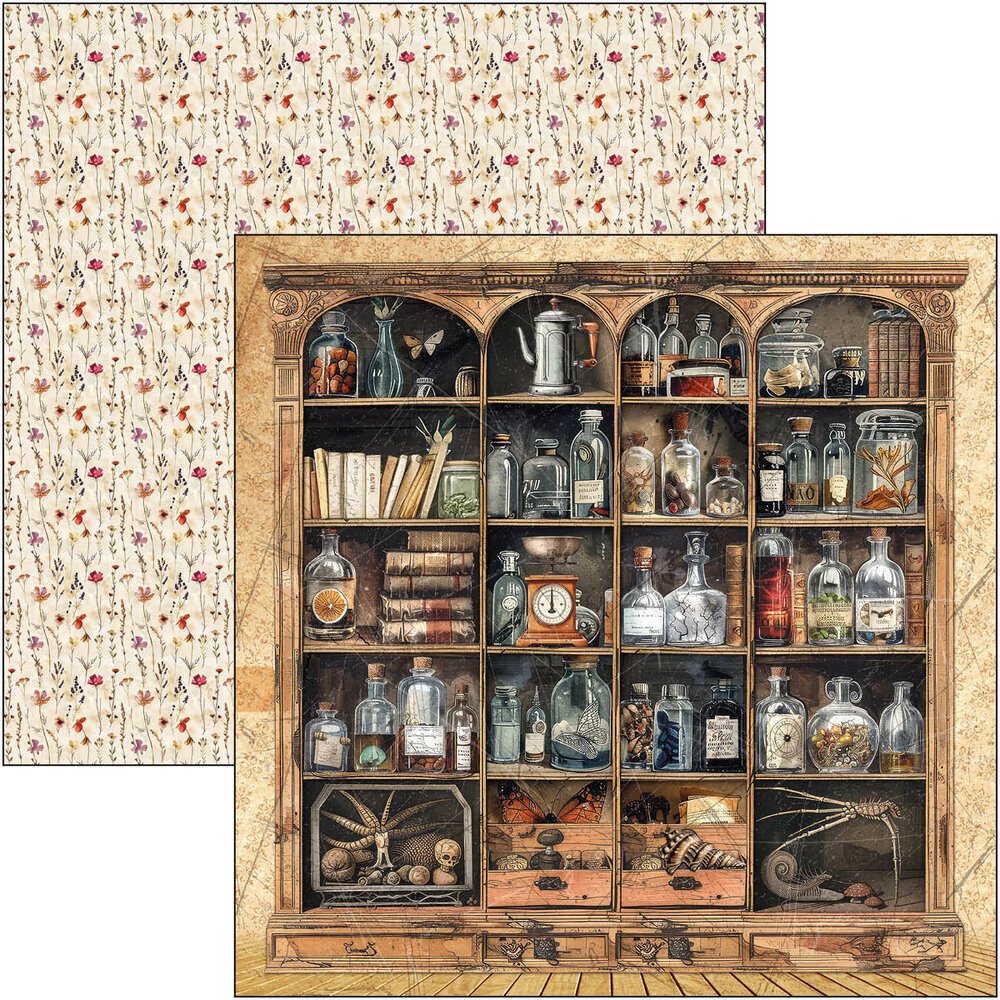 Ciao Bella Papercrafting Cabinet of curiosities 12x12 Inch Patterns Pad (CBT085) Ciao Bella Papercrafting Cabinet of curiosities 12x12 Inch Patterns Pad (CBT085)