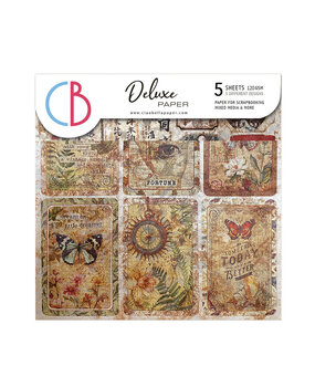 Ciao Bella Papercrafting Cabinet of curiosities 6x6 Inch Deluxe Paper (CBDQ019) Ciao Bella Papercrafting Cabinet of curiosities 6x6 Inch Deluxe Paper (CBDQ019)