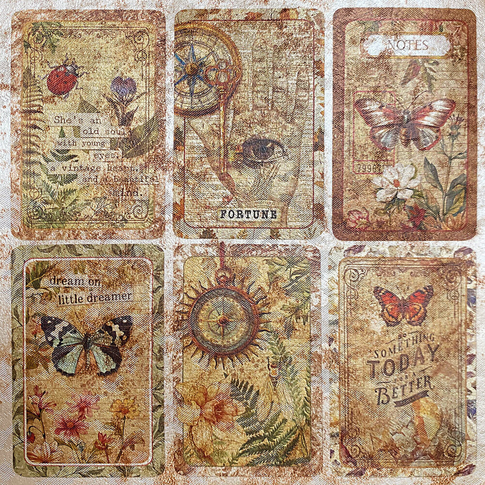 Ciao Bella Papercrafting Cabinet of curiosities 6x6 Inch Deluxe Paper (CBDQ019)