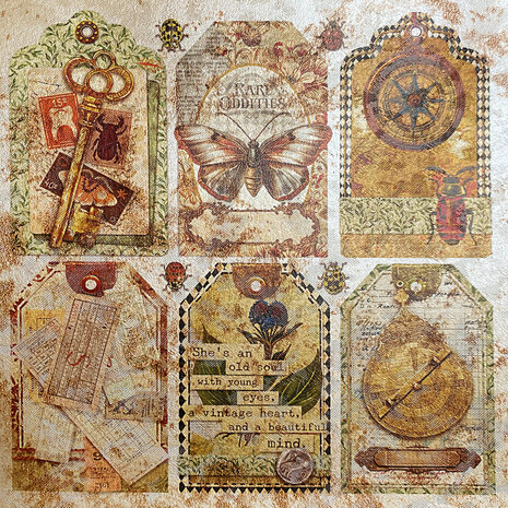 Ciao Bella Papercrafting Cabinet of curiosities 6x6 Inch Deluxe Paper (CBDQ019)