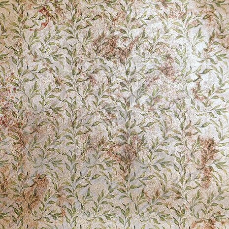 Ciao Bella Papercrafting Cabinet of curiosities 6x6 Inch Deluxe Paper (CBDQ019)