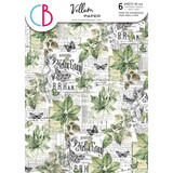Ciao Bella Papercrafting Cabinet of curiosities A4 Vellum Paper (CBV024)