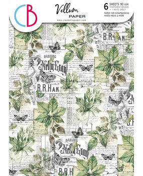 Ciao Bella Papercrafting Cabinet of curiosities A4 Vellum Paper (CBV024) Ciao Bella Papercrafting Cabinet of curiosities A4 Vellum Paper (CBV024)
