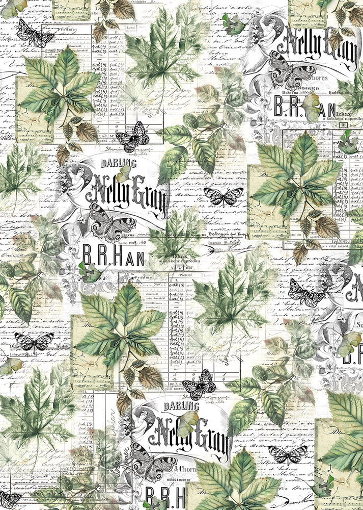 Ciao Bella Papercrafting Cabinet of curiosities A4 Vellum Paper (CBV024) Ciao Bella Papercrafting Cabinet of curiosities A4 Vellum Paper (CBV024)