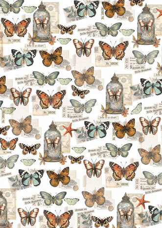 Ciao Bella Papercrafting Cabinet of curiosities A4 Vellum Paper (CBV024) Ciao Bella Papercrafting Cabinet of curiosities A4 Vellum Paper (CBV024)