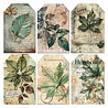 Ciao Bella Papercrafting Cabinet of curiosities 6x6 Inch Vellum Paper (CBVQ024) Ciao Bella Papercrafting Cabinet of curiosities 6x6 Inch Vellum Paper (CBVQ024)
