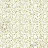 Ciao Bella Papercrafting Cabinet of curiosities 6x6 Inch Vellum Paper (CBVQ024) Ciao Bella Papercrafting Cabinet of curiosities 6x6 Inch Vellum Paper (CBVQ024)