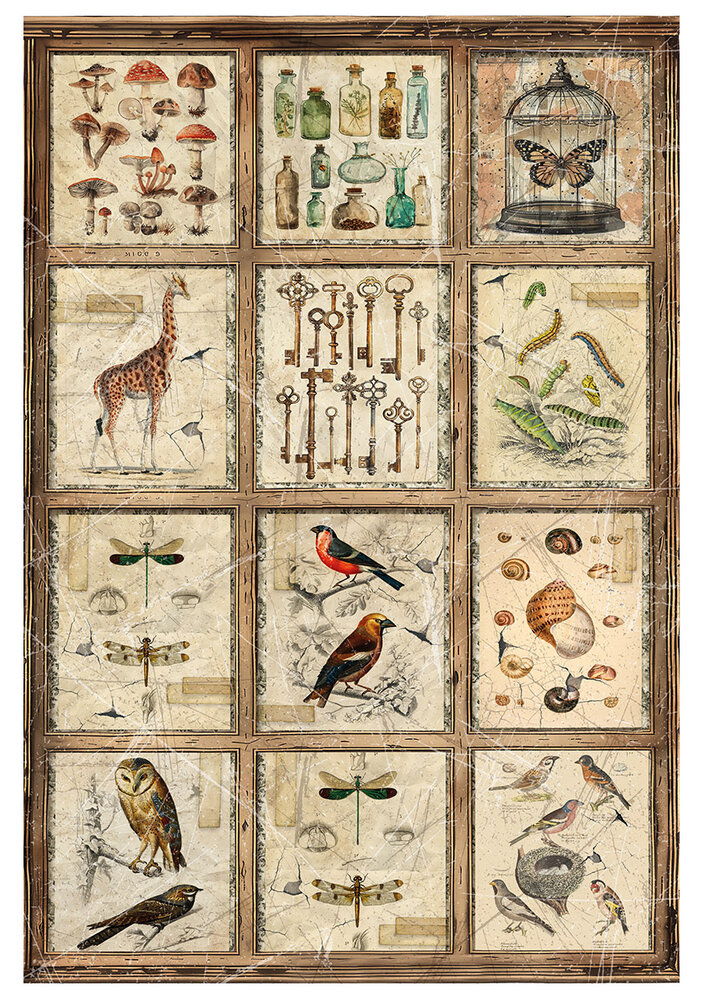 Ciao Bella Papercrafting Cabinet of curiosities A4 Mixed Rice Papers (CBRA001) Ciao Bella Papercrafting Cabinet of curiosities A4 Mixed Rice Papers (CBRA001)