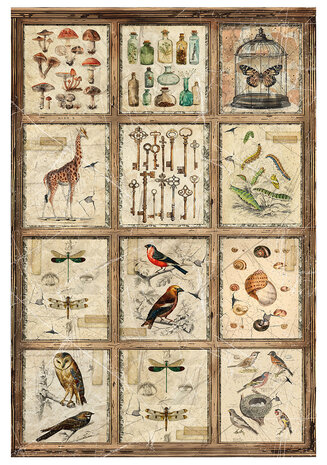 Ciao Bella Papercrafting Cabinet of curiosities A4 Mixed Rice Papers (CBRA001) Ciao Bella Papercrafting Cabinet of curiosities A4 Mixed Rice Papers (CBRA001)