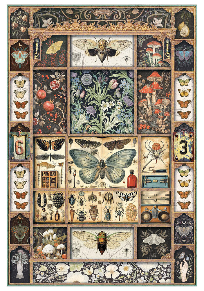 Ciao Bella Papercrafting Cabinet of curiosities A4 Mixed Rice Papers (CBRA001) Ciao Bella Papercrafting Cabinet of curiosities A4 Mixed Rice Papers (CBRA001)