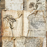 Ciao Bella Papercrafting Codex A5 Mixed Rice Papers (CBRS015) Ciao Bella Papercrafting Codex A5 Mixed Rice Papers (CBRS015)