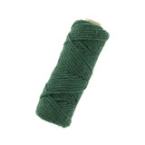 Home Accents Jute Twine Green (3014577)