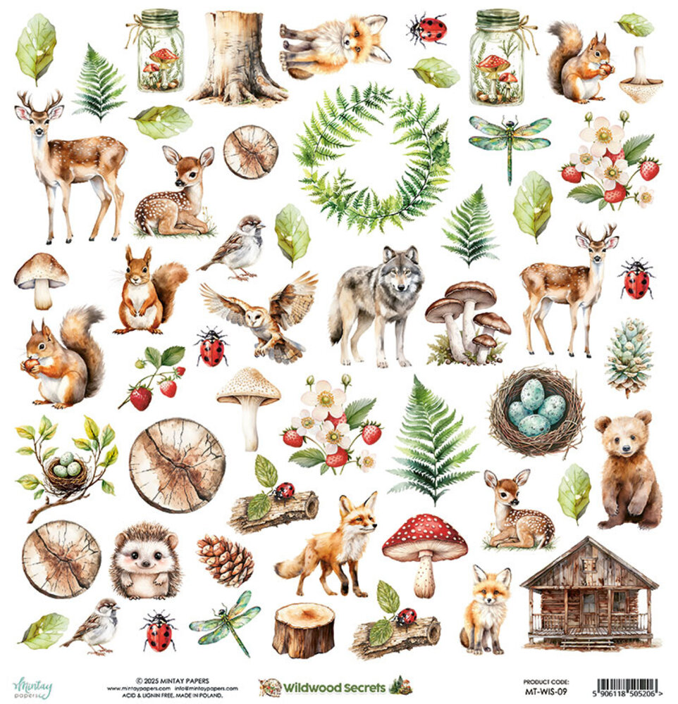 Mintay Wildwood Secrets 12x12 Inch Paper Elements (MT-WIS-09) Mintay Wildwood Secrets 12x12 Inch Paper Elements (MT-WIS-09)