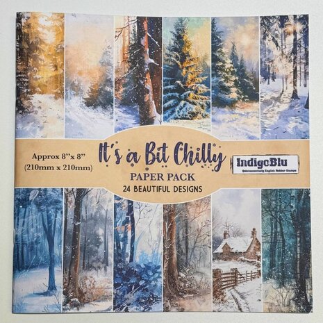 IndigoBlu It's a Bit Chilly 8x8 Inch Paper Book (IND1315)