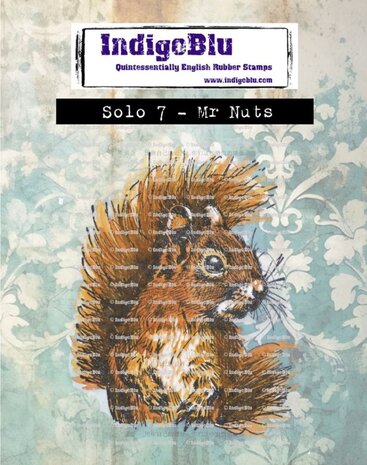 IndigoBlu Mr Nuts Solo Rubber Stamp (IND1384) IndigoBlu Mr Nuts Solo Rubber Stamp (IND1384)