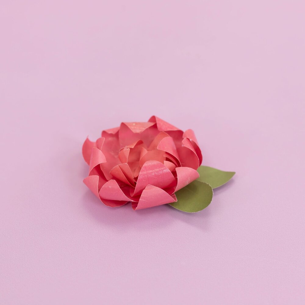 Crafter's Companion Paper Punch Oval 1 Inch (CC-PUNCH-OVA1)