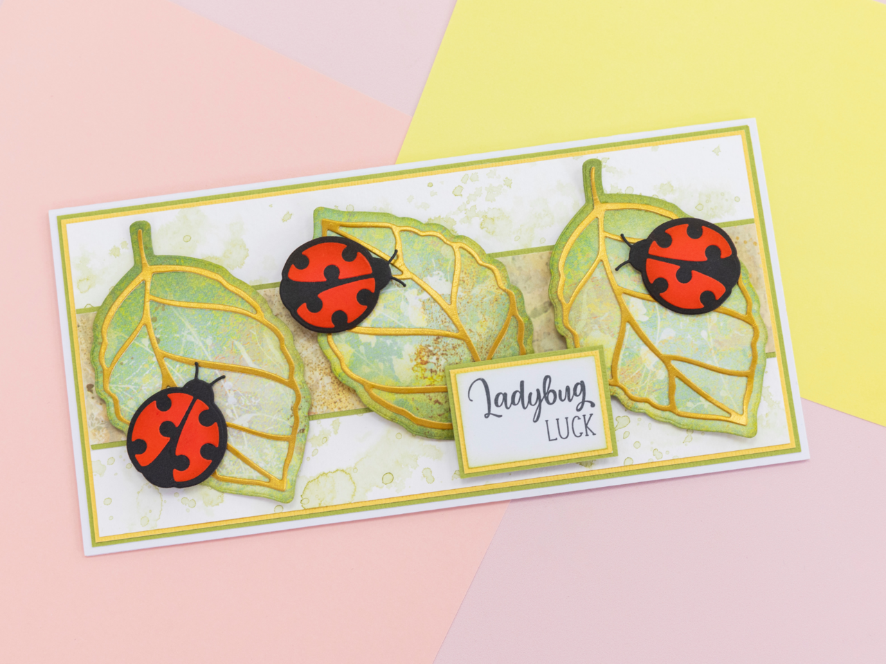 Crafter's Companion Flora & Fauna Clear Stamps Ladybug Hugs (NG-FF-CA-ST-LAHU)