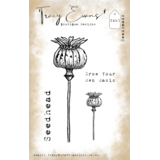 Tracy Evans Seedheads A7 Clear Stamp (TE040)