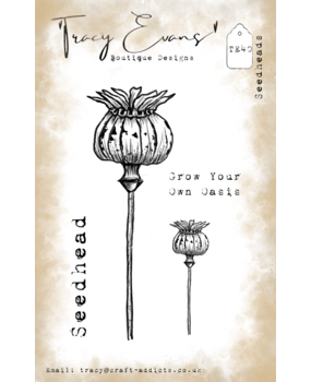 Tracy Evans Seedheads A7 Clear Stamp (TE040) Tracy Evans Seedheads A7 Clear Stamp (TE040)