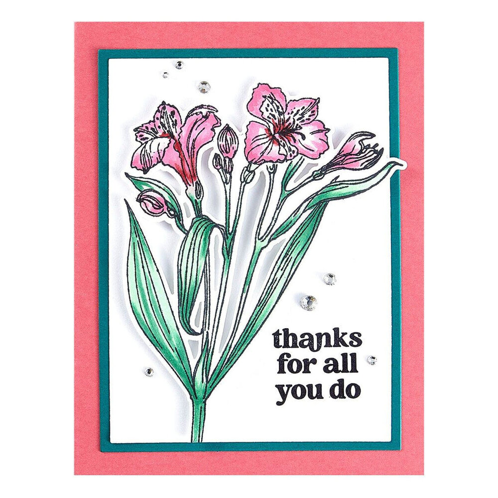 Spellbinders Heartfelt Blooms Stamp and Die Bundle (BD-0955) Spellbinders Heartfelt Blooms Stamp and Die Bundle (BD-0955)