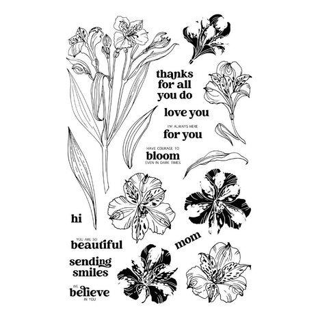 Spellbinders Heartfelt Blooms Stamp and Die Bundle (BD-0955) Spellbinders Heartfelt Blooms Stamp and Die Bundle (BD-0955)