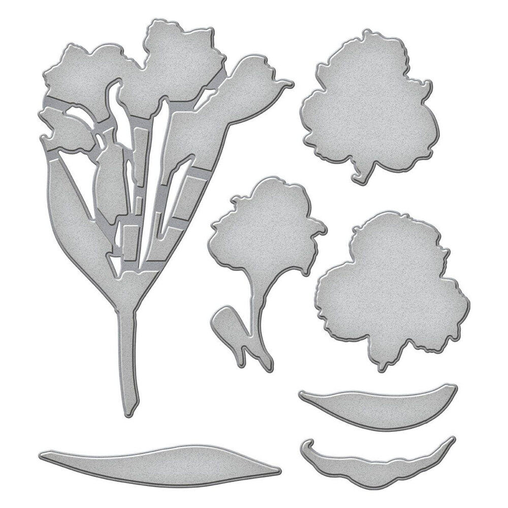 Spellbinders Heartfelt Blooms Stamp and Die Bundle (BD-0955) Spellbinders Heartfelt Blooms Stamp and Die Bundle (BD-0955)