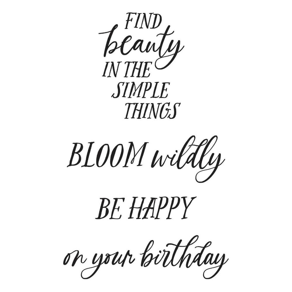 Spellbinders Field Notes Sentiments Clear Stamp (STP-242) Spellbinders Field Notes Sentiments Clear Stamp (STP-242)