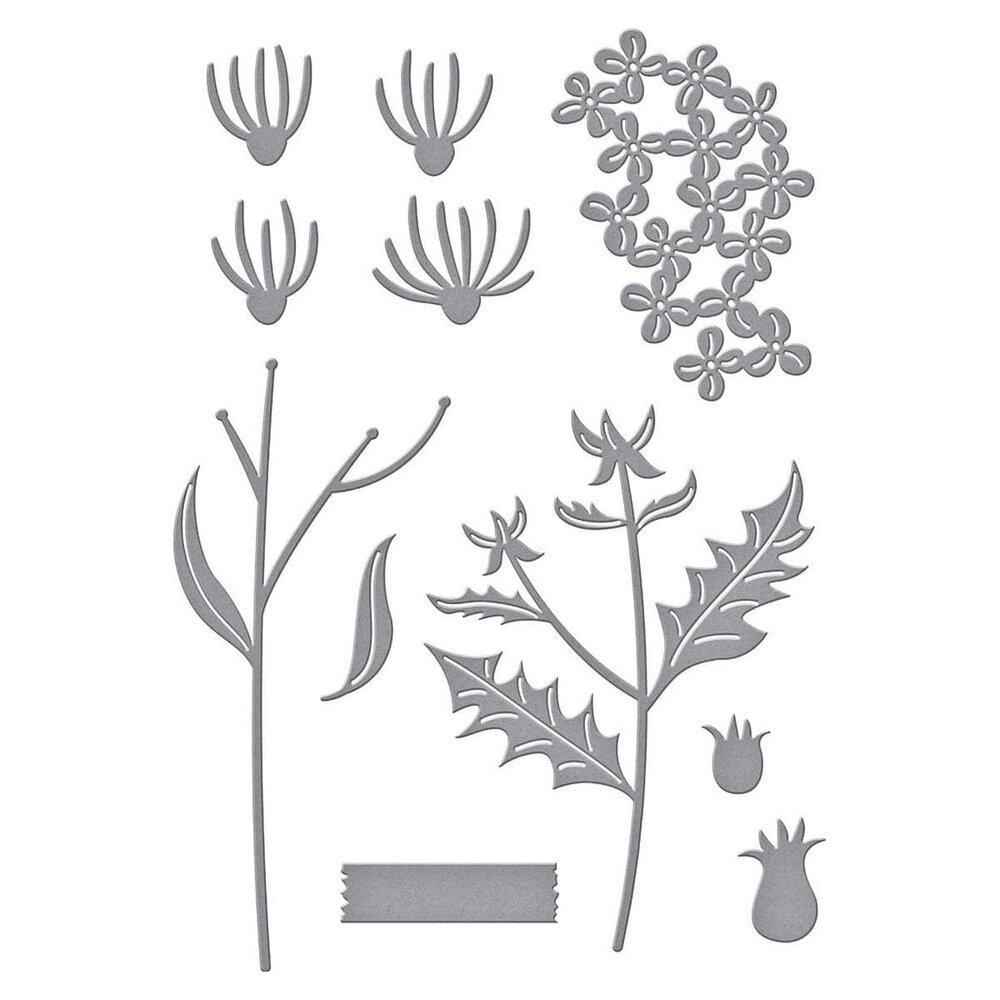 Spellbinders Field Notes Wildflowers Dies (S4-1369)