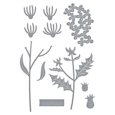 Spellbinders Field Notes Wildflowers Dies (S4-1369)