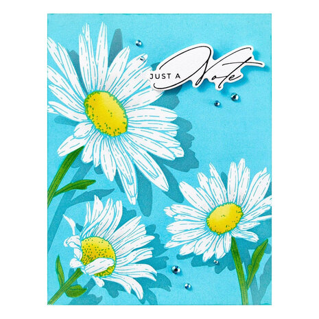 Spellbinders Yana's Daisies Daisy Trio Press Plates (BP-299) Spellbinders Yana's Daisies Daisy Trio Press Plates (BP-299)
