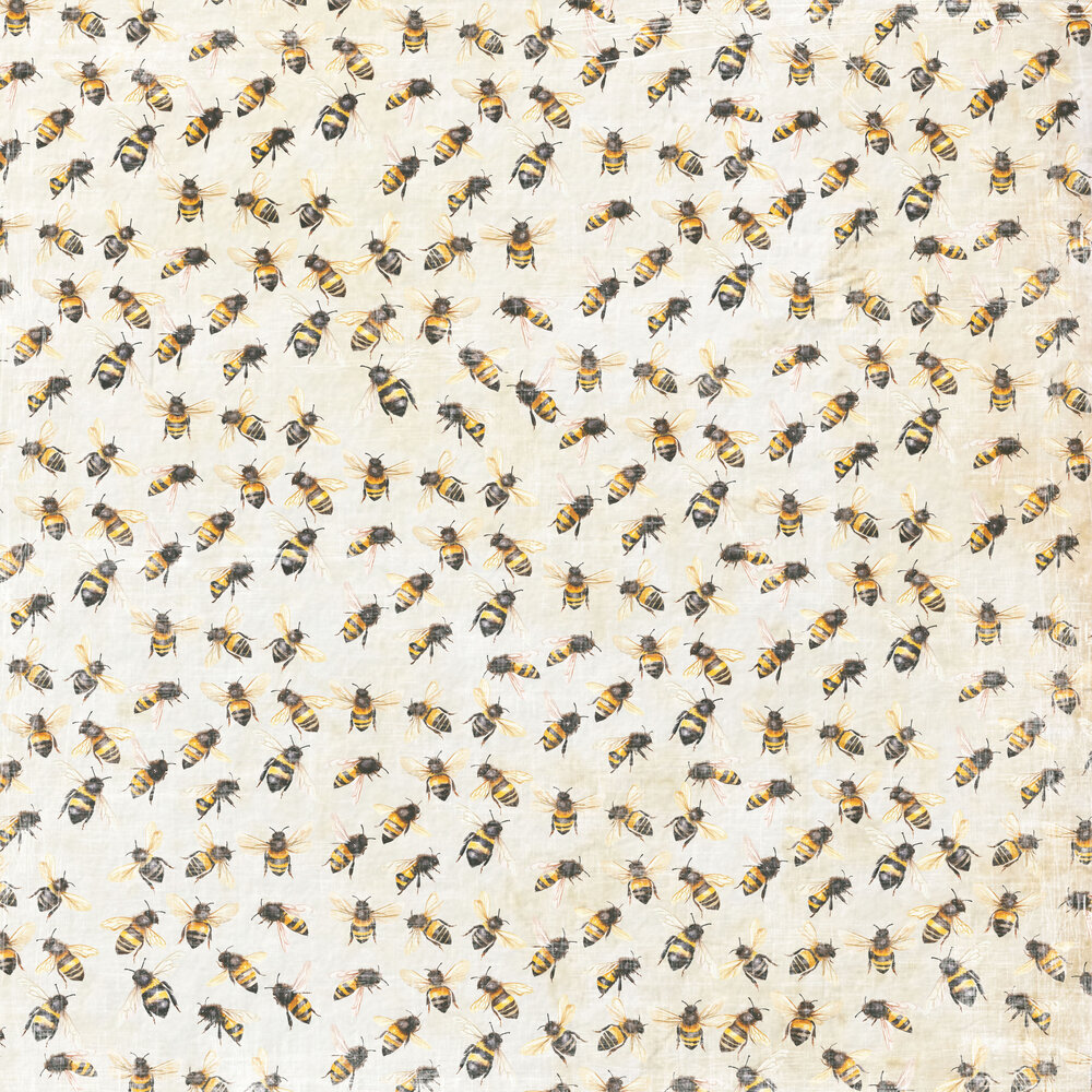 Reprint Summer 8x8 Inch Paper Pack (RPM067) Reprint Summer 8x8 Inch Paper Pack (RPM067)