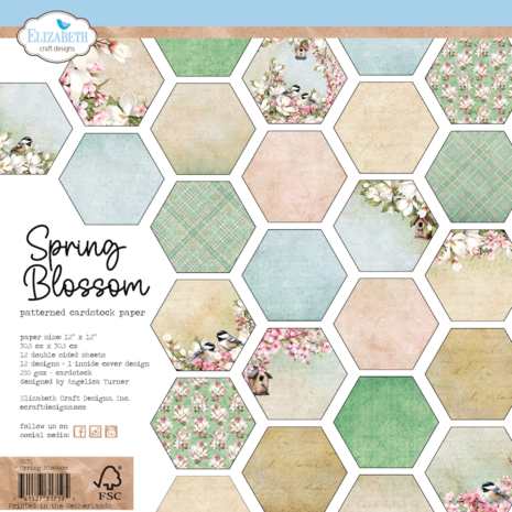 Elizabeth Craft Designs Spring Blossom 12x12 Inch Cardstock Paper (C031) Elizabeth Craft Designs Spring Blossom 12x12 Inch Cardstock Paper (C031)