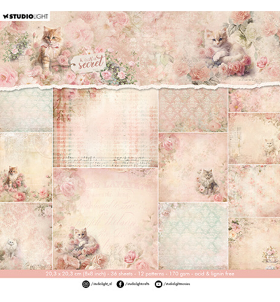 Studio Light A Cat's Secret 8x8 Inch Background Paper Pad (SL-ACS-DPP315) Studio Light A Cat's Secret 8x8 Inch Background Paper Pad (SL-ACS-DPP315)