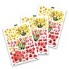 Katy Sue 3D Die-Cut Decoupage Daffodil, Tulip & Poppy Bouquet (11-DCD703) Katy Sue 3D Die-Cut Decoupage Daffodil, Tulip & Poppy Bouquet (11-DCD703)