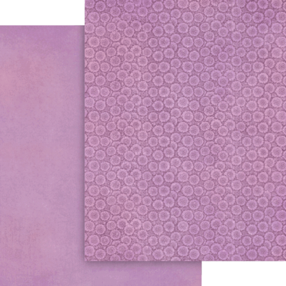 Graphic 45 Fairy Boutique 8.5x11 Inch Patterns & Solids Paper Pack (4503045) Graphic 45 Fairy Boutique 8.5x11 Inch Patterns & Solids Paper Pack (4503045)