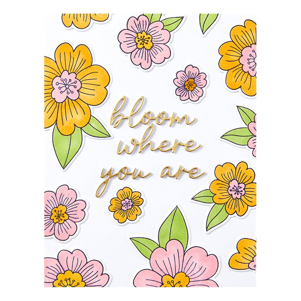 Spellbinders Spring in Kyoto Blossoms & Sentiments Press Plate & Die Set (BP-292)