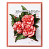 Spellbinders PRE-ORDER Summer Solstice Begonia and Ladybugs Dies (S4-1435) Spellbinders PRE-ORDER Summer Solstice Begonia and Ladybugs Dies (S4-1435)
